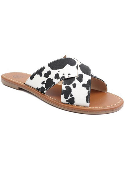 cow sandals 