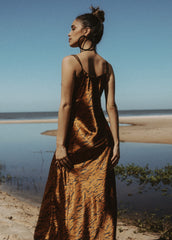 zebra print maxi dress